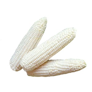 Maíz Blanco Premium de Grano Entero, Secado Cuidadosamente, Cosecha Fresca, Rico en Beneficios Naturales, Ideal para Harina de Maíz y Alimentos para el Desayuno - Product Image 2