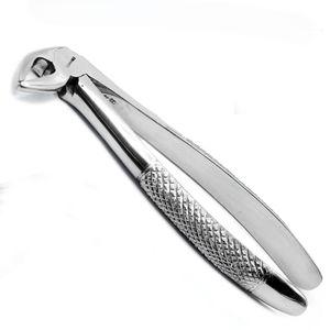 Forceps dentaires n°33 pour extraction dentaire, en acier inoxydable chirurgical, outil réutilisable, équipement professionnel, vente en gros, extraction dentaire - Product Image 4