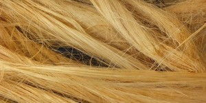 Approvisionnement en Fibre de Banane en Gros - Matière Première Durable pour la Production de Cordes, Tissus et Papier - Product Image 5