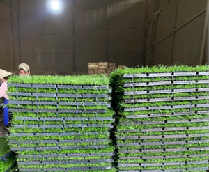 Dalles de terrasse en bois d'acacia à emboîtement, imperméables, pour l'extérieur - Product Image 1