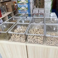 Conteneur de présentation alimentaire en acrylique de premier choix, hermétique, pour épices, fruits secs, noix, distributeur, bocal, boîtes à bonbons