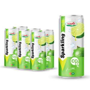 Produit pétillant haut de gamme saveur mangue en conserve 250ml faible quantité minimale de commande échantillon gratuit en gros au Vietnam ISO HALAL - Product Image 5