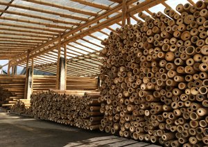 Poteaux en bambou de haute qualité 2026 - Vente flash ! !! Exportation mondiale - Meilleur matériau de construction pour la construction et le jardinage - Product Image 6