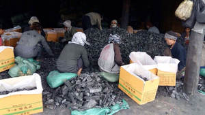 Palo de carbón Binchotan ecológico de alta calidad, exportación directa del fabricante para café, barbacoa, bulto de madera dura de Vietnam - Product Image 6