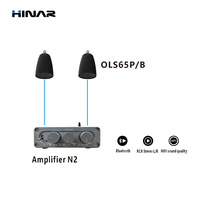 Sistem Speaker Komersial HINAR 2.1 Saluran Amplifier Kelas D RCA Loudspeaker Dinding untuk Ruang Konferensi