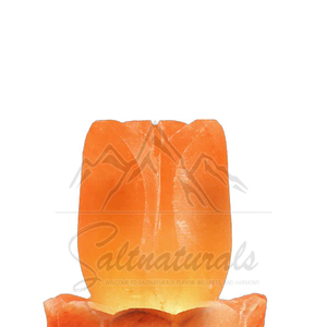 Natural <b>Crystal</b> Himalayan Salt Lamp For Home Decor Salt Lamp Soft Light Salt Lamp Peaceful Feel - Product Image 4