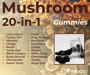 Gomitas Veganas con Extracto de Champiñones para la Salud Cerebral y Digestiva, 20 en 1, 60 Unidades, Botella PET, Alta Calidad, para Adultos - Product Image 5