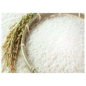 Arroz jazmín Tailandia Premium Thai Hom Mali Arroz jazmín 100% puro Calidad de exportación - Product Image 1