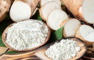 FABRICANTE DE ALDERA DE TAPIOCA EN VIETNAM, ALDERA DE YUCA DE ALTA CALIDAD, GRADO ALIMENTICIO, EXPORTACIÓN A GRANEL - Product Image 2