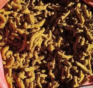 Cúrcuma en Polvo Amarilla Seca, Procesada por AD, Natural, Pura, Especia para Cocinar, Herbal, Saludable, Culinaria Convencional, 1000 kg, Superventas - Product Image 3