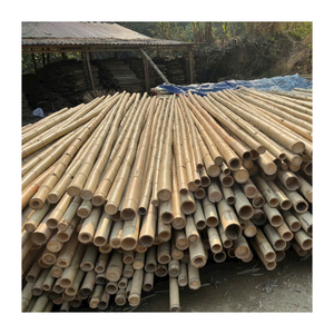 Poteau en bambou robuste en fibre de canne brute pour la construction de filets agricoles commerciaux et de bâtiments résidentiels commerciaux, originaire du Vietnam - Product Image 1