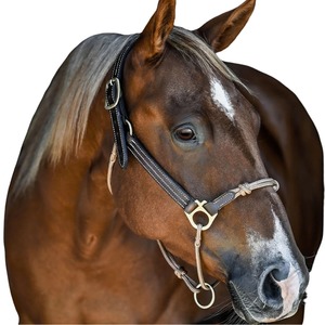 Fabricant en gros d'équipements équestres : Licol hybride en cuir de cheval teint à la tambourine, avec cordes fantaisie cousues, en cuir de cheval - Product Image 3