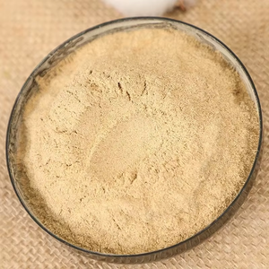 Poudre de gingembre pur séché OEM de qualité supérieure, gingembre moulu pour la cuisine, la pâtisserie et le thé au meilleur prix d'Inde - Product Image 6
