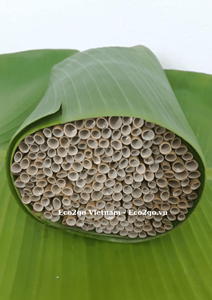 Pailles écologiques 100 % naturelles en herbe, biodégradables et organiques, pour cafés et restaurants |   Vente en gros - Product Image 2