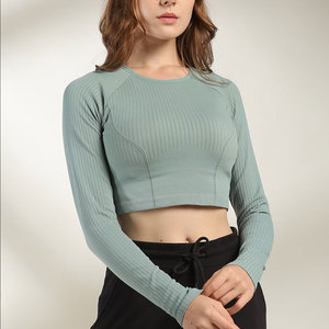 Women's Long Sleeve <b>Cropped</b> Knitted <b>Top</b> O-Neck Solid Color Sporty Fit Breathable Slim Fit Full Sleeve All Seasons Wear - Product Image 1