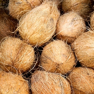 เมล็ดถั่วแดงสดใหม่ คุณภาพส่งออก เกรดหนึ่ง - Product Image 5