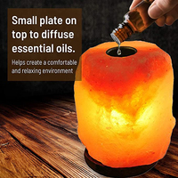 Diffuseur d'huiles essentielles électrique à LED avec sel de l'Himalaya, lampe aromathérapie ultrasonique >200ml, relaxation à domicile, prise USB US, portable