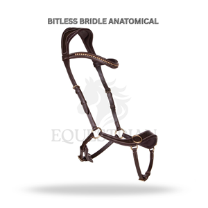 Brida anatómica sin cabezada de tamaño completo para equitación inglesa, para la comodidad del caballo - Product Image 2