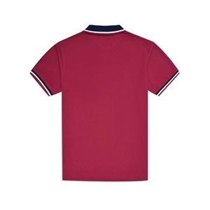 Camiseta Polo para Hombre 2026, Venta al Por Mayor, Cómoda, Uso Diario, Tejido Elástico, Movimiento Flexible, Estilo Casual y Elegante - Product Image 2