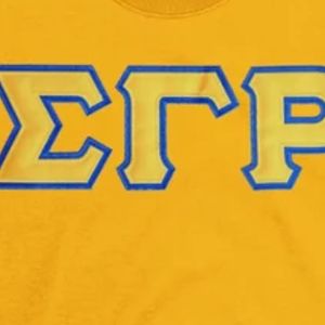 T-shirt brodé avec applique Sigma Gamma Rho, lettres grecques personnalisées, tee-shirt de sororité à manches courtes, col rond, doré - Product Image 2