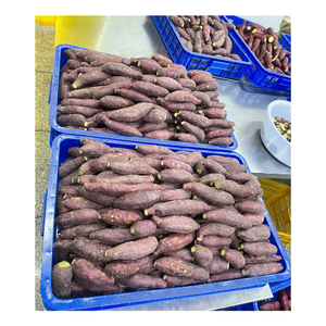 Fábrica de Batata Morada Congelada de Vietnam que Ofrece Precios Competitivos al por Mayor y Soluciones Personalizadas de Marca Privada - Product Image 2