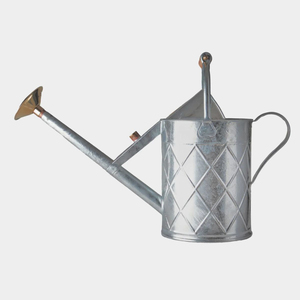 Unique Modern Eco-Friendly Iron Metal Watering Can Galvanized Finish Metal Watering Can Galvanized Steel Watering Pot Best Price - Product Image 2