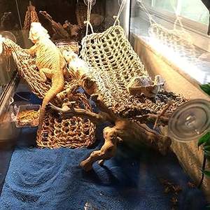 Offre Spéciale Blue Lotus 2025 Reptile Hamac Lit Suspendu Écologique pour Dragon Barbu et Gecko Utilisation - Product Image 2