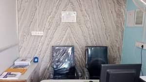 Reasonable Price Natural Translucent Flexible Stone <b>Veneer</b> Blocks for Interior Exterior Walls 100% Natural Stone CE Certified - Product Image 2