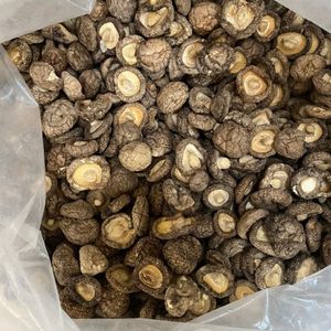 Champignons Shiitake Séchés Premium - Saveur Authentique pour Cuisines Internationales - Vente Flash - Product Image 5