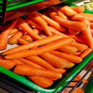 Légumes frais de culture courante, qualité export, carotte fraîche naturelle et sucrée pour l'exportation - Product Image 1