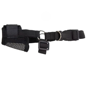 Purple Nylon Adjustable <b>Dog</b> Trainer Collar Small Size Buckle Closure Simple Style All Seasons Pet Accessory - Product Image 3
