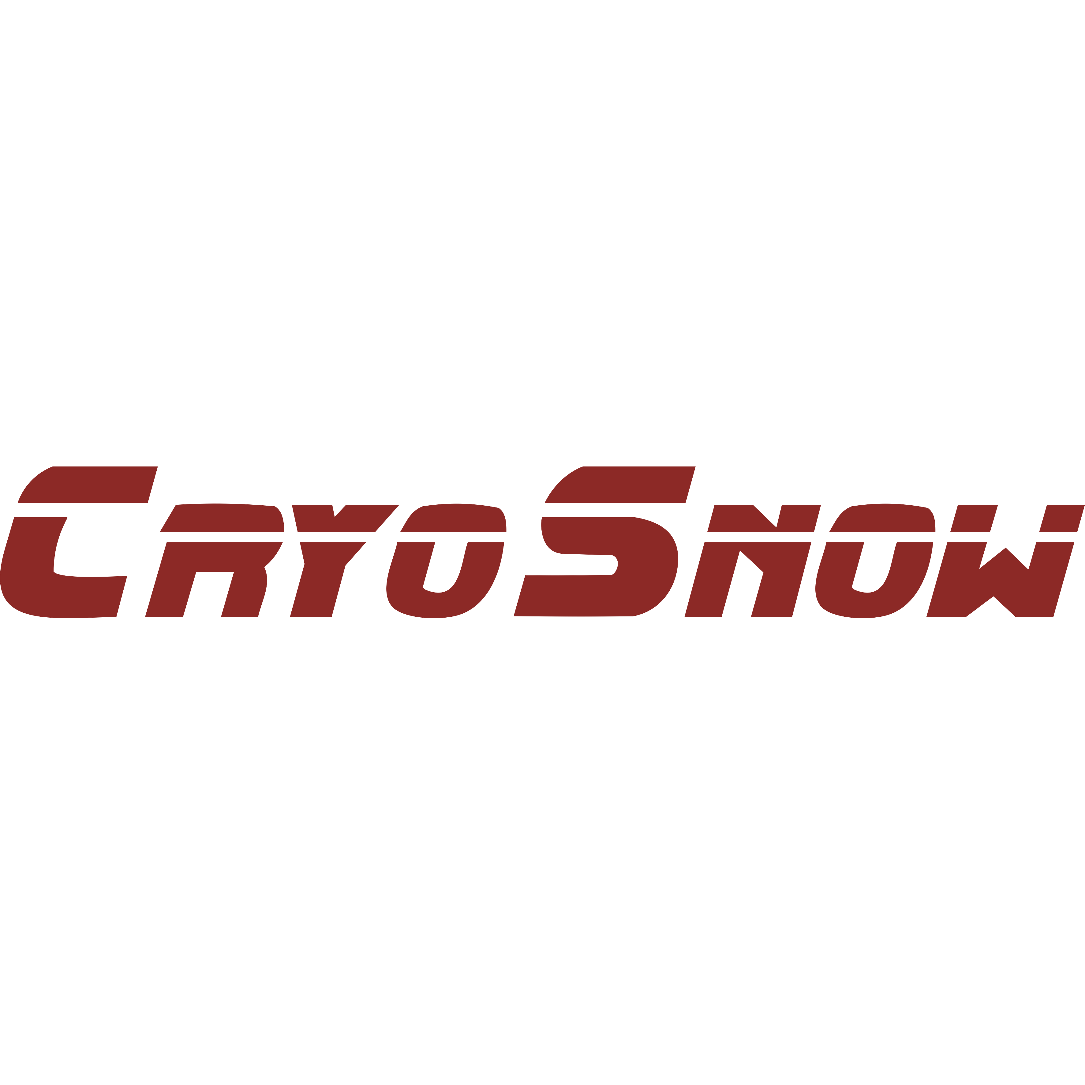 CryoSnow GmbH logo
