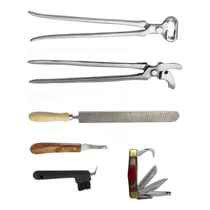 Kit de Herramientas de Herrador de Acero Inoxidable de Primera Calidad al por Mayor para el Cuidado de Pezuñas de Caballos y Perros con Instrumentos Quirúrgicos - Product Image 5