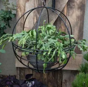 Black Metal Wire Hanging <b>Basket</b> Planter Wall Mounted Herb Flower Pot Holder Outdoor Garden Railing <b>Plant</b> Stand - Product Image 1