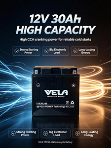 Batterie scellée sans entretien rechargeable VELA <span class=keywords><strong>YTX30L</strong></span> 12V 30AH, batterie de remplacement pour outils électriques, durée de vie 500 cycles, 165x127x176mm - Product Image 4
