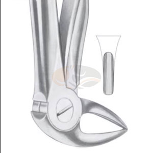 Figura. Pinzas de Extracción de Dientes de Raíces Inferiores 33B de Diferentes Tamaños, Instrumentos Médicos Dentales, Precio al por Mayor, Proveedor a Granel - Product Image 3