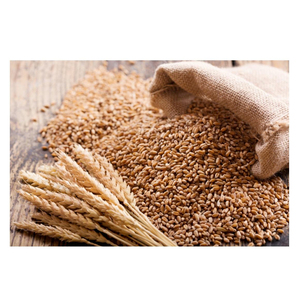 Listo para Enviar, Venta al por Mayor de Granos de Trigo Blando Premium, Suministro a Granel, Grado Alimenticio, Producto de Exportación de Alta Calidad - Product Image 4