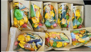 Chips de Frutas Mixtas Fritas al Vacío Naturales, Snacks Saludables Crujientes, Paquete a Granel de 1 kg, Mezcla de Frutas Tropicales a Baja Temperatura - Product Image 5