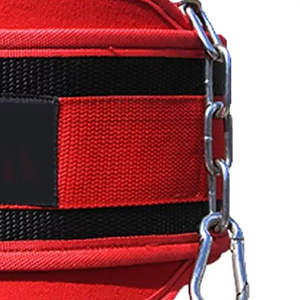 Ceinture de musculation en néoprène ultra-résistante avec chaîne en acier et doubles anneaux en D pour tractions, dips, entraînement de compression et entraînement en salle de sport - Product Image 2