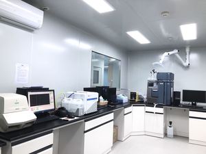 ISO-chứng nhận vô trùng bò Loại I Collagen <span class=keywords><strong>Sponge</strong></span> ms cho cầm máu và sửa chữa - Product Image 6