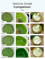 Poudre de Matcha Biologique Standard UE en Vrac Qualité Cérémoniale et Culinaire Certifiée USDA et UE Fournisseur