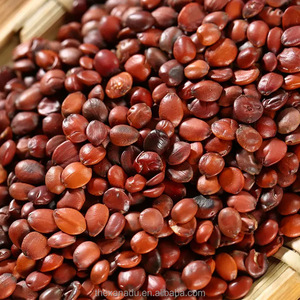 Les sachets de thé/pochette de Spina Date Seed 500 g/sac chinois aide au sommeil herbe crue Ziziphus Jujuba <span class=keywords><strong>Var</strong></span> Spinosa haut OEM acceptent les saponines - Product Image 5