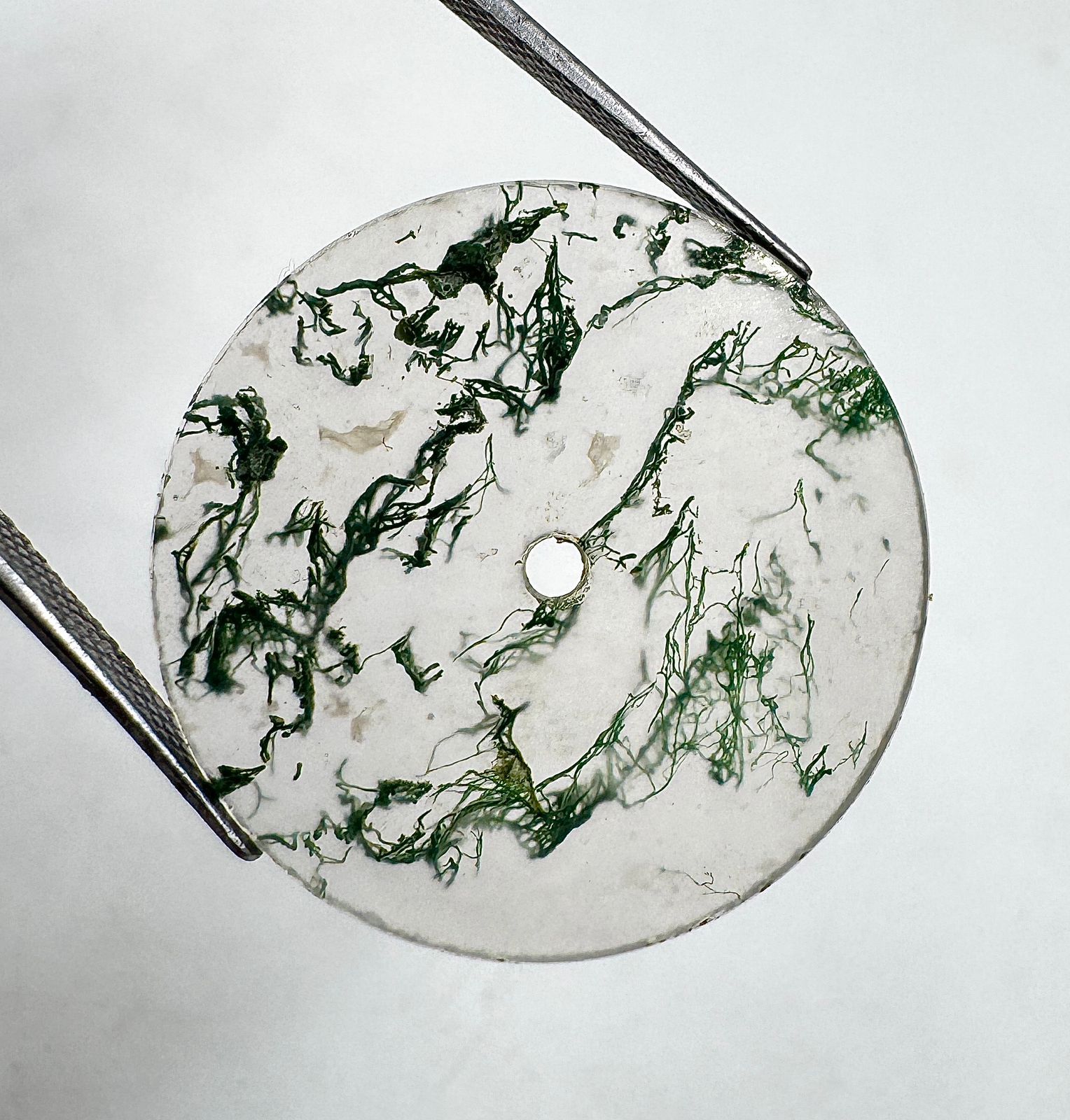 Blanco, Verde