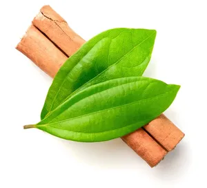 อบเชยแท่งเกรดพรีเมียม คุณภาพสูง มีน้ำมันหอมระเหยเข้มข้นและกลิ่นหอมอันเข้มข้น เหมาะสำหรับการผลิตเครื่องเทศและผู้ซื้อขายส่ง - Product Image 1