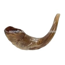 Shofar en corne naturelle, fait main, de couleur et de forme naturelles, excellent pour les usages religieux juifs, style animal marin - Product Image 5