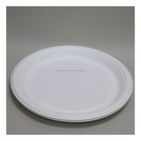 Assiette en bagasse biodégradable et compostable, résistante à l'huile, blanche, jetable, écologique, prix usine, vente en gros, pour service alimentaire