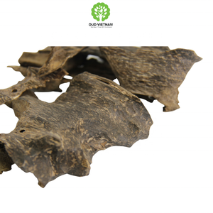 ที่ดีที่สุดในสวน agarwood ชิปโอเปอร์คู่กับกลิ่นที่หรูหราจากเวียดนามธูป OWC1 - Product Image 6