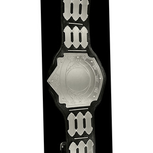 Ceintures de championnat légères de haute qualité pour la lutte, ceintures de championnat personnalisées pour l'entraînement martial - Product Image 1