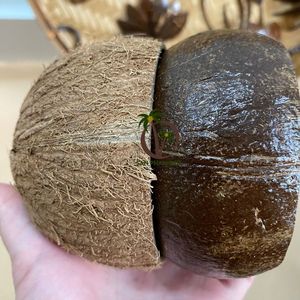 COCO ECO BRAND Porte-bougie en coquille de noix de coco - 3 tailles, écologique et fait main, forme ronde pour la décoration de la maison - Product Image 1