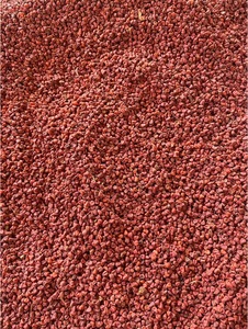 Fragrant Dried Annatto Seeds for Oil Extraction Marinade <b>Blends</b> and Food Service Preparation - Product Image 5